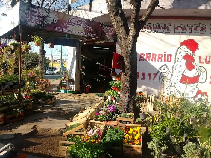 Vivero Mil Rosas