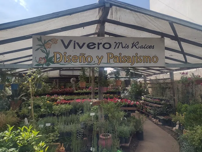 Vivero Mis Raíces – Sucursal Tejedor