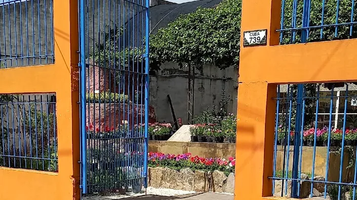 Vivero Mundo Planta