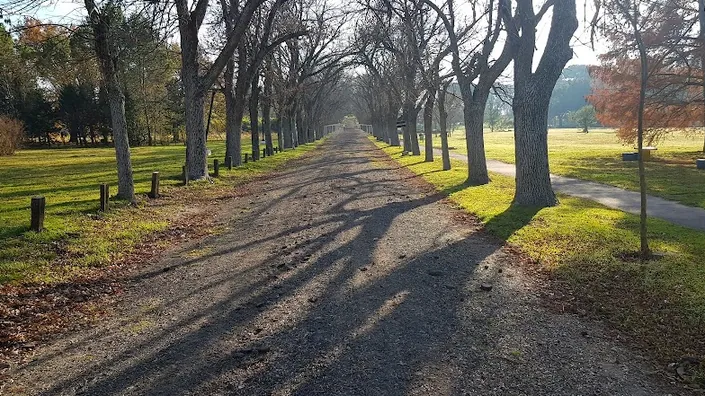 Vivero Municipal De Paraná Maria de Lourde Cura