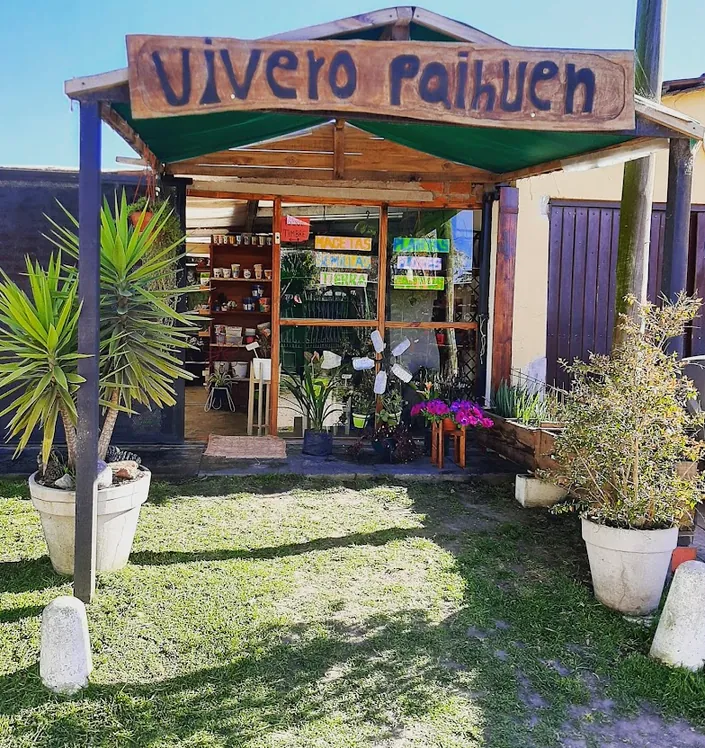Vivero Paihuen