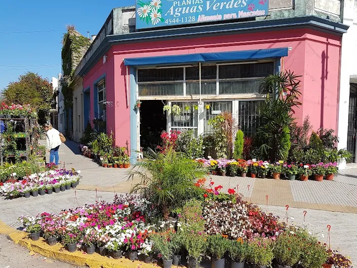 Vivero plantas Aguas Verdes