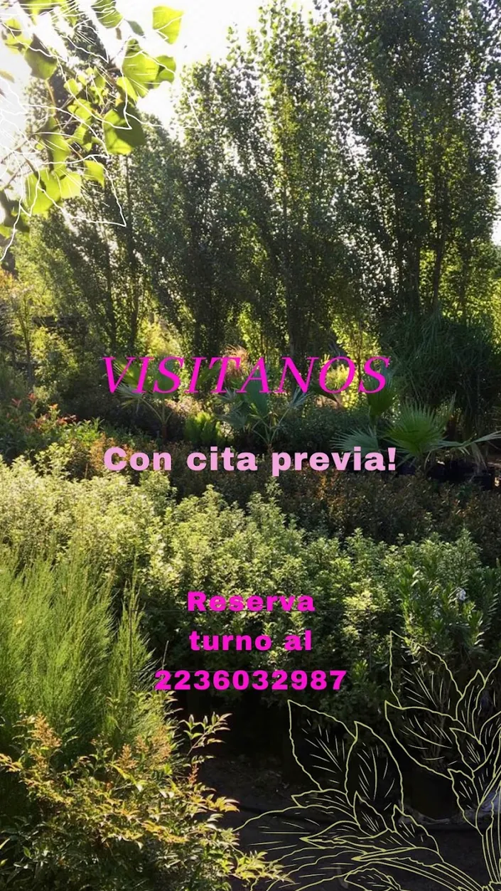 Vivero Productor Fátima