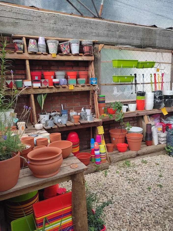 Vivero Pueblo Verde