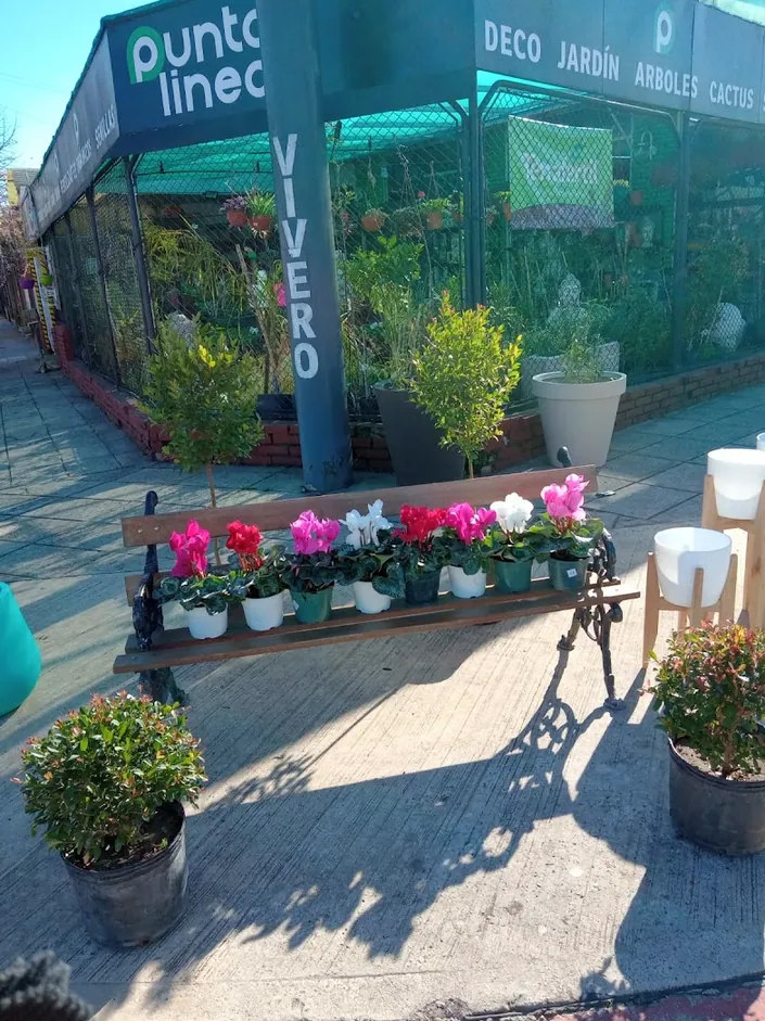 Vivero Punto Lineal