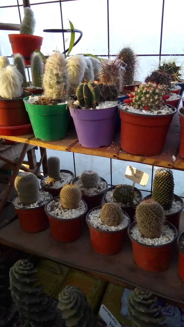 Vivero Raices, Villa Carlos Paz