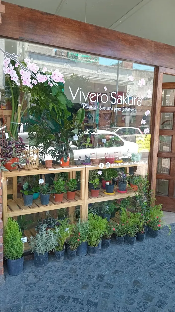 VIVERO SAKURA CIUDADELA