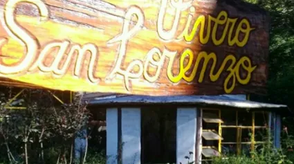 Vivero San Lorenzo