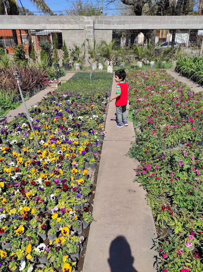 Vivero Santa Rita