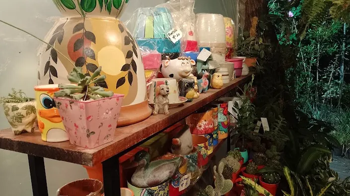 Vivero Septiembre
