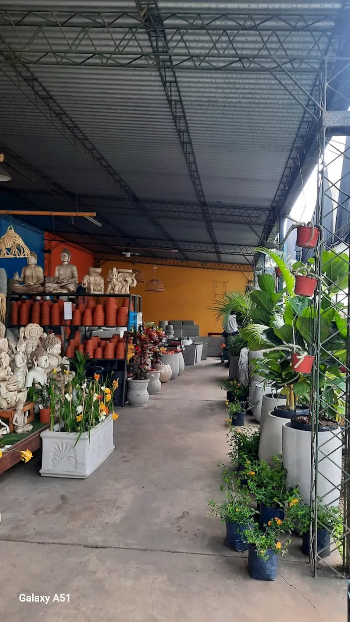 Vivero Siempre verde