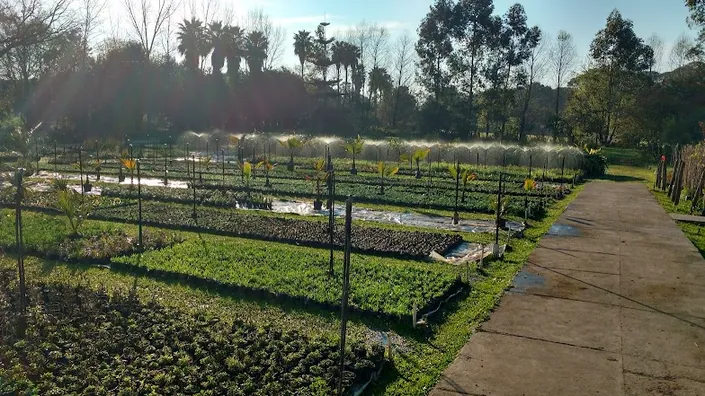 Vivero Sobral