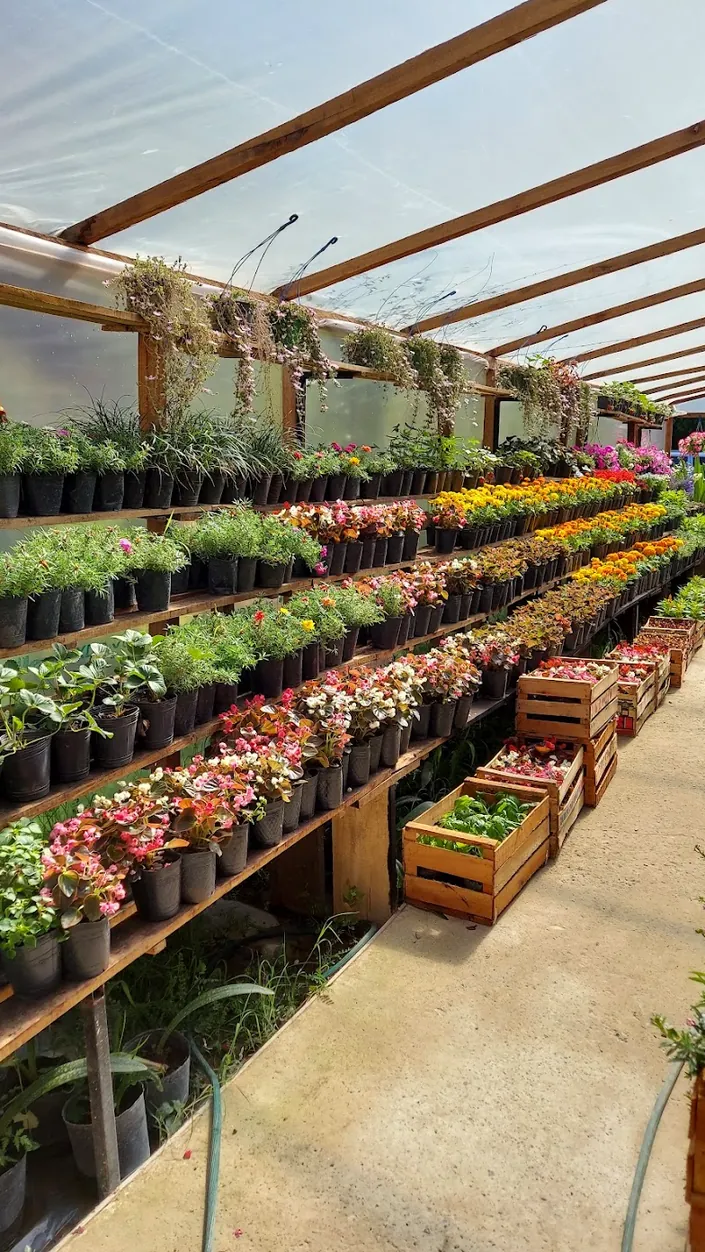 Vivero Spinelli – Sucursal Escobar