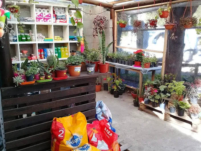 Vivero Timbó