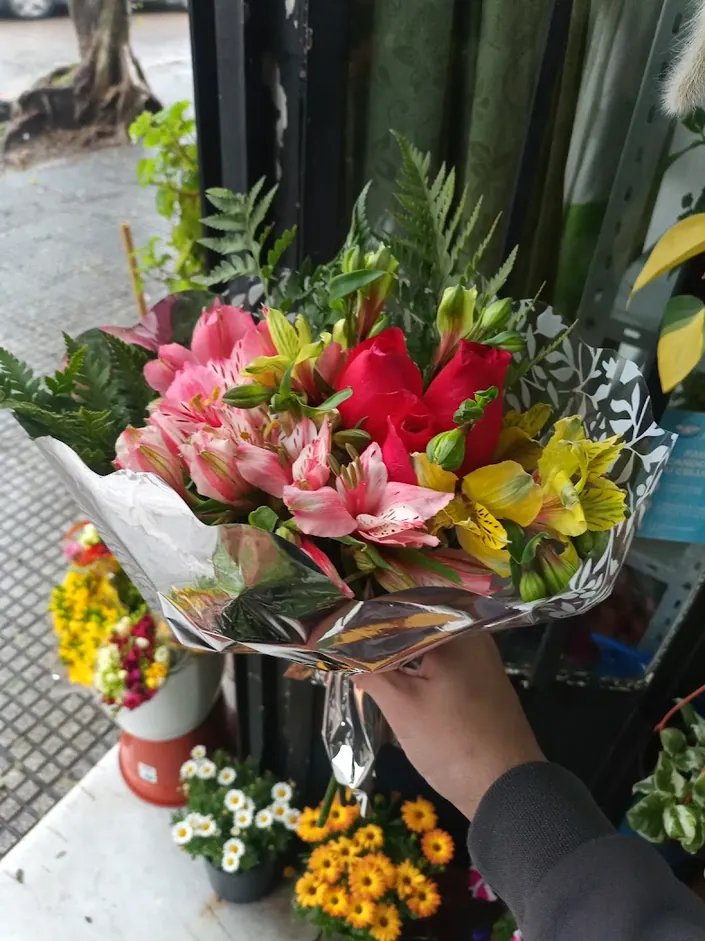 Vivero Tus Plantas J y A