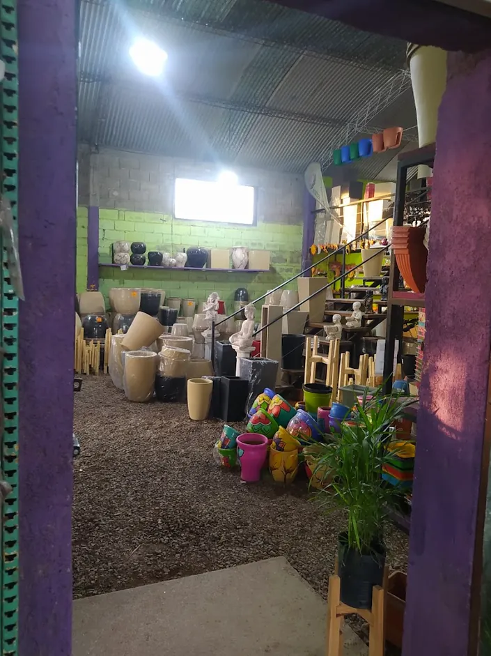 VIVERO UNIGARDEN