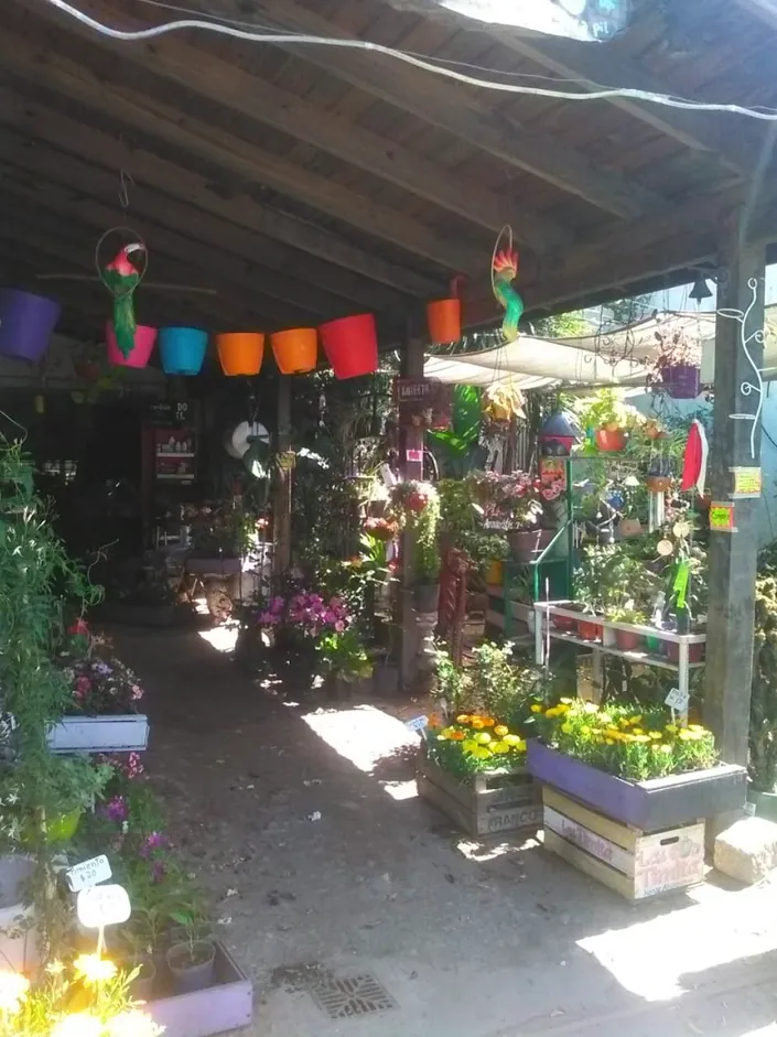 Vivero Verde Cura