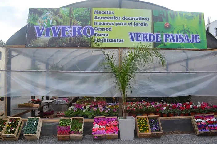 Vivero Verde Paisaje