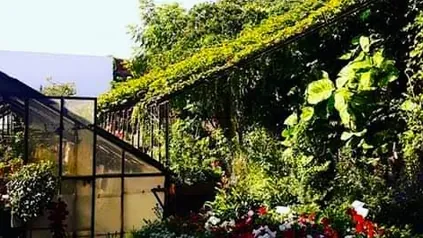 Vivero Vida Verde