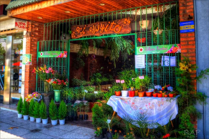 Vivero y Floreria “Mi Yuyito”