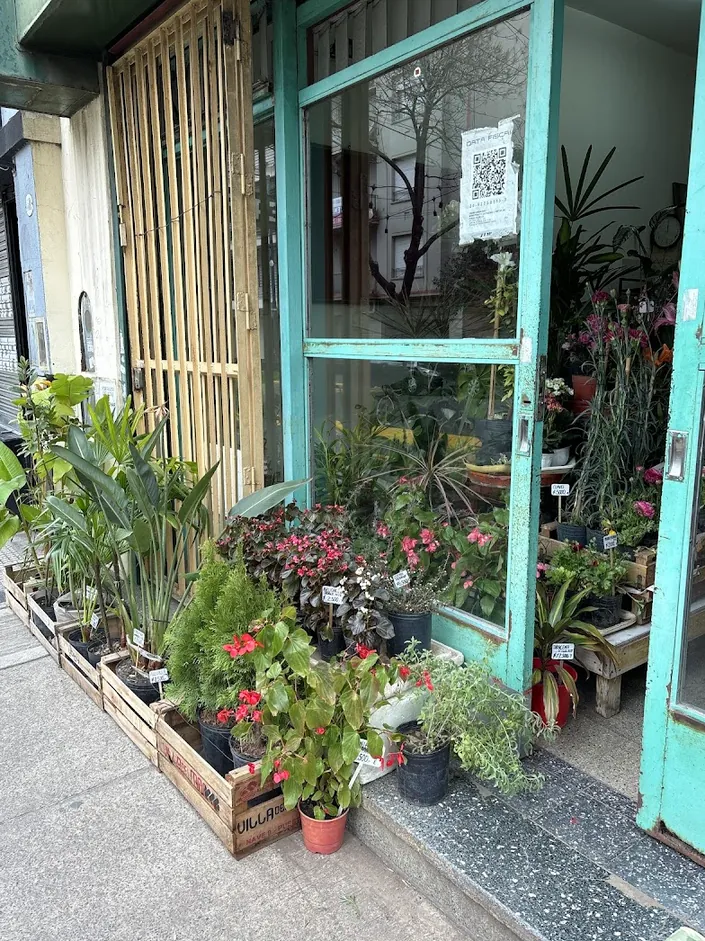 Vivero y Plantas Sol y Tierra