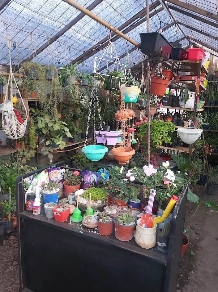 Vivero zuny